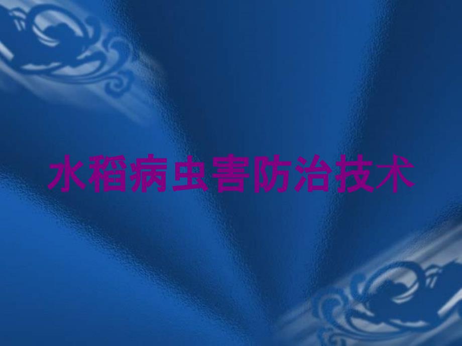 水稻病虫害防治技术培训课件_第1页